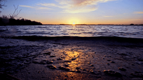 Water Sunset GIF by Living Stills - Find & Share on GIPHY