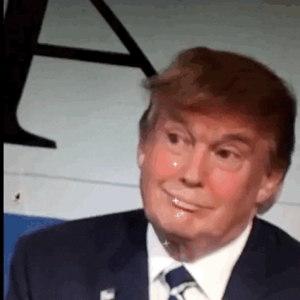 Donald Trump Rainbow GIF - Find & Share on GIPHY