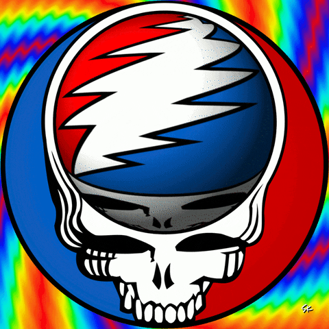 STEAL YOUR FACE Giphy