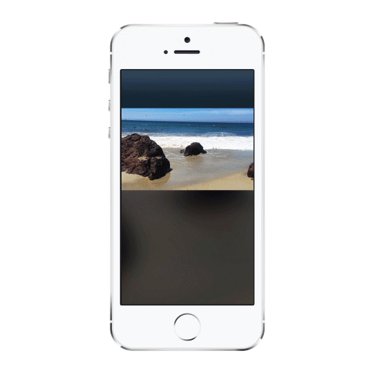 giphy.gif