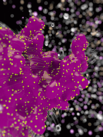 C4D GIF by Martin Onassis
