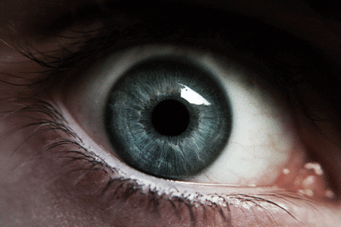 удручающие вещи 2015, разочаровывающие факты 2015