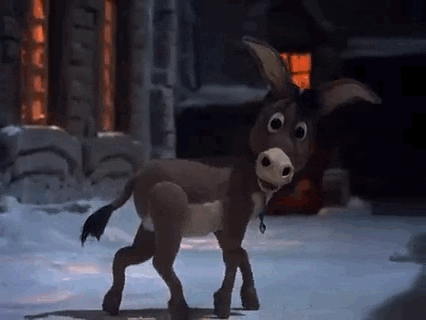 Donkey GIFs - Find & Share on GIPHY