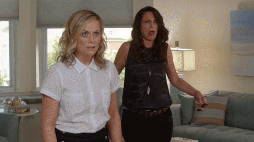 Amy Poehler Omg GIF by Sisters