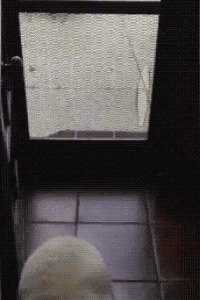 Hey Let ME In in funny gifs