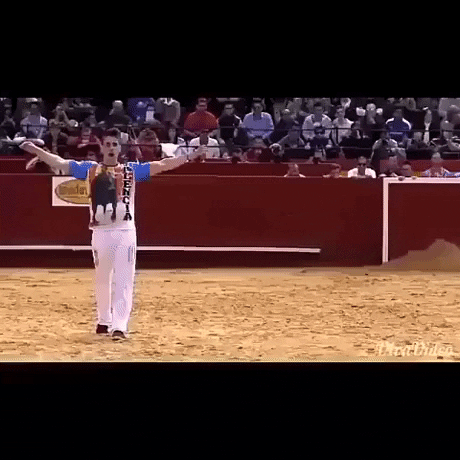 Spin move on bull in funny gifs