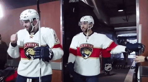Ice Hockey Fl Panthers GIF by NHL
