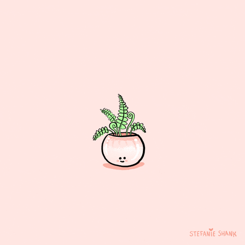 Pastel Plants GIF by Stefanie Shank - Find & Share on GIPHY