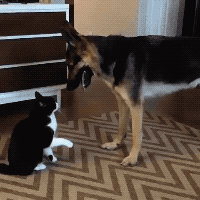 Love At End in funny gifs