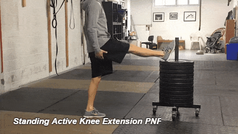 how to treat a pulled hamstring - Standing Active Knee Extension PNF
