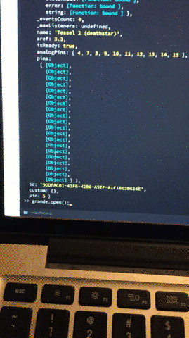 Gif of first run using the REPL