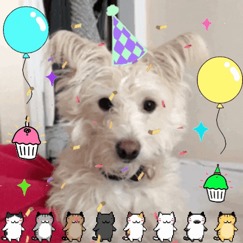 Happy Birthday Dog Animated GIF | Morsodifame Blog