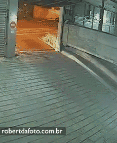 My Typical Day in funny gifs