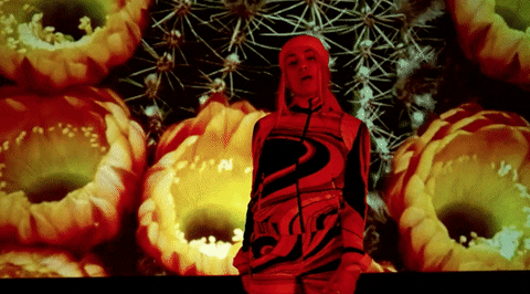 Kali Uchis Tyrant GIF by Interscope Records - Find & Share on GIPHY