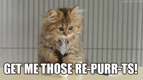 Gif of a kitten wearing a tiny necktie with the caption "Get me those re-purr-ts!" 