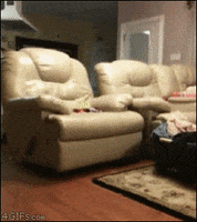 external_gif
