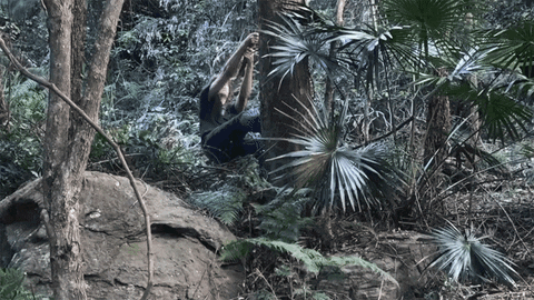 farcry primal waterfall gif farcry primal waterfall gif