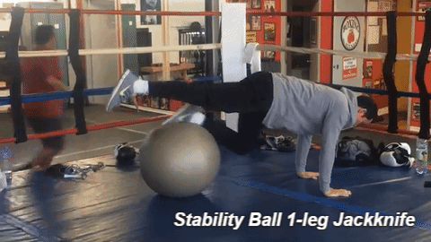 Core Stabilization Exercises - Stability Ball 1-leg Jackknife
