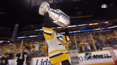 Image result for penguins stanley cup champion gif