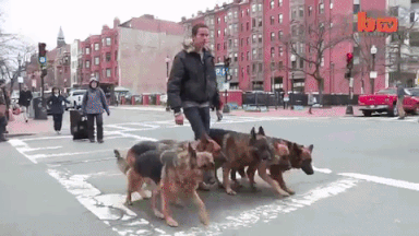 Walkign With Squad in funny gifs