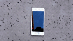 Ant Vs Iphone in funny gifs