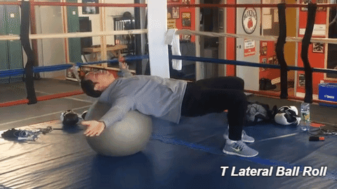 Core Stabilization Exercises - T lateral ball rolls