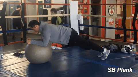 Core Stabilization Exercises - Stability ball plank
