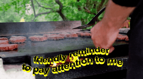 Bbq GIFs - Find & Share on GIPHY