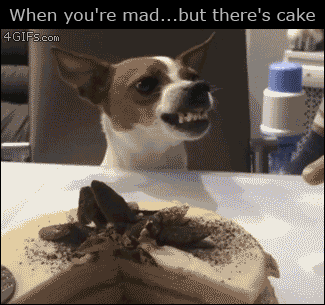 Cake Makes Happy in funny gifs