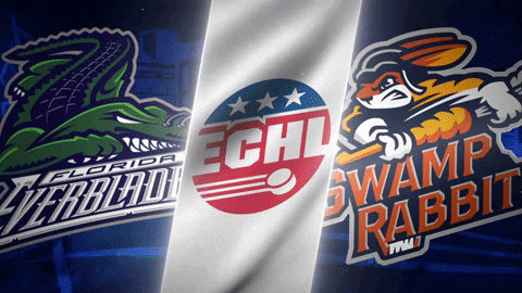 Everblades GIF by Greenville Swamp Rabbits