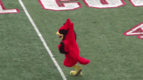 Ncc GIF by NCAlumni - Find &amp; Share on GIPHY