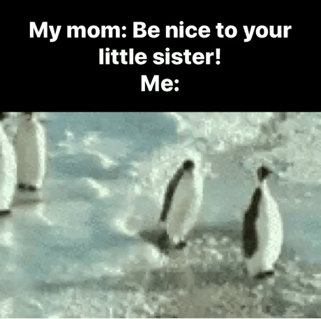Brother And Sister in funny gifs
