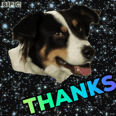 Thanks Thank You GIF by Barnaby - Find & Share on GIPHY