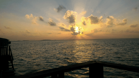Glorious Orange Sunset In The Maldives GIF - Find & Share on GIPHY