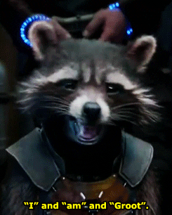 Rocket Raccoon | THE HUNTERS تقرير | The Biggest Idiots In The Universe  Giphy