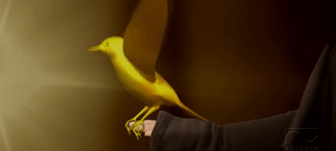 Https Encrypted Tbn0 Gstatic Com Images Q Tbn 3aand9gcrzuobrn4o9ianz3z2hombwtfnk3rg4iyhxye7 Gyjecg7fqkxo