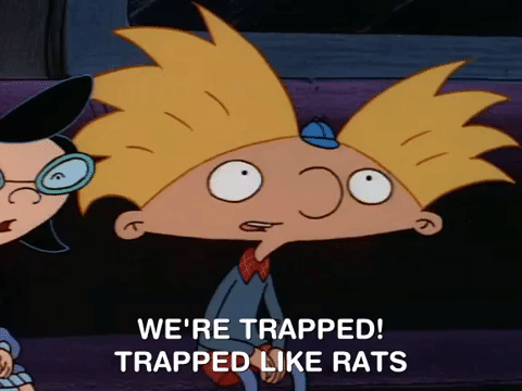 Image result for trapped like rats