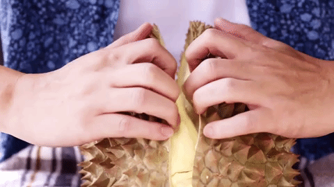 Image result for durian gif