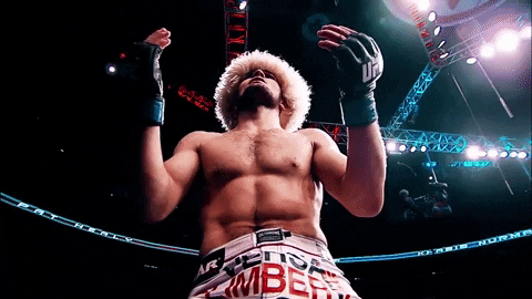 Khabib Nurmagomedov Mma GIF by UFC - Find & Share on GIPHY
