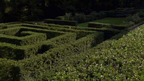lady lost in a maze gif