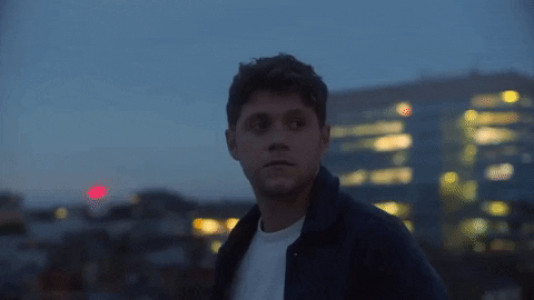 Image result for too much to ask niall horan gif