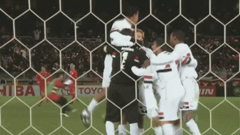 Mundial Rogerio Ceni GIF by São Paulo FC