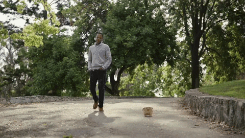 Dog Retch Gif Dog Fetch GIF by ADWEEK - Find & Share on GIPHY