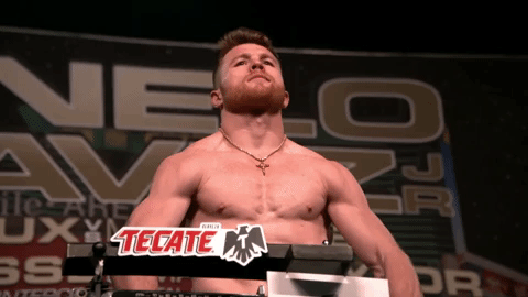 Image result for canelo gif