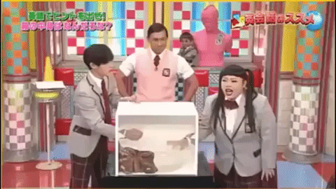 Japanese Game Show GIFs - Find & Share on GIPHY