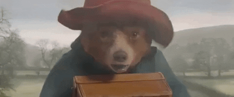 Scared High Speed GIF by Paddington 2 - Find & Share on GIPHY