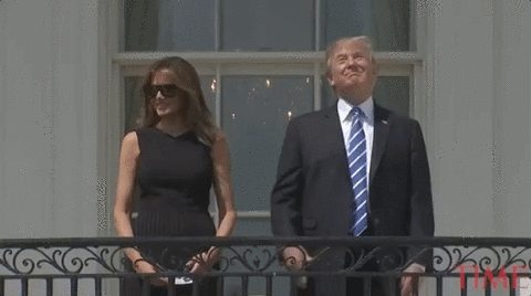 Hilarious Donald Trump GIF - Find & Share on GIPHY