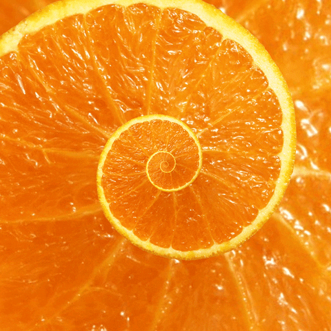 Hipnotičen pogled na pomarančo