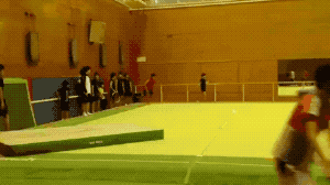 Rate The Landing in funny gifs
