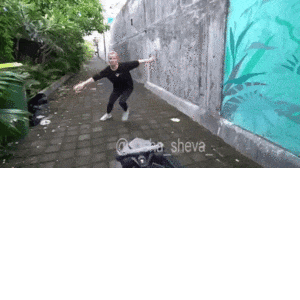 giphy.gif
